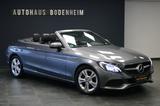 Mercedes-Benz C 220 C Cabrio C 220 d Edition /LEDER/NAVI/PDC