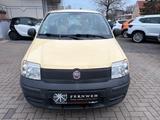 Fiat Panda 1.2 8V Active - Fiat Panda: Gelb