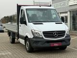 Mercedes-Benz Sprinter 316 Pritsche *1.Hd *bis 3,5t *3665mm RS - Tier-/Pferdetransport 3 5t