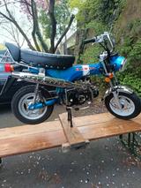 Honda dax Jincheng - HONDA MOFA DAX