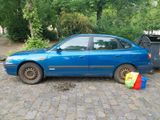 Hyundai Elantra - Hyundai: Elantr