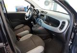 Fiat Panda 1.0 GSE Cross City Klima - ZV - gebrauchte Fiat Panda aus dem Jahr 2023