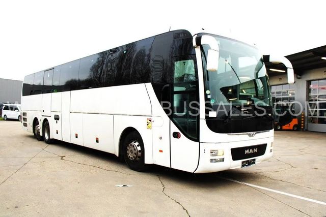 MAN LION'S COACH R08