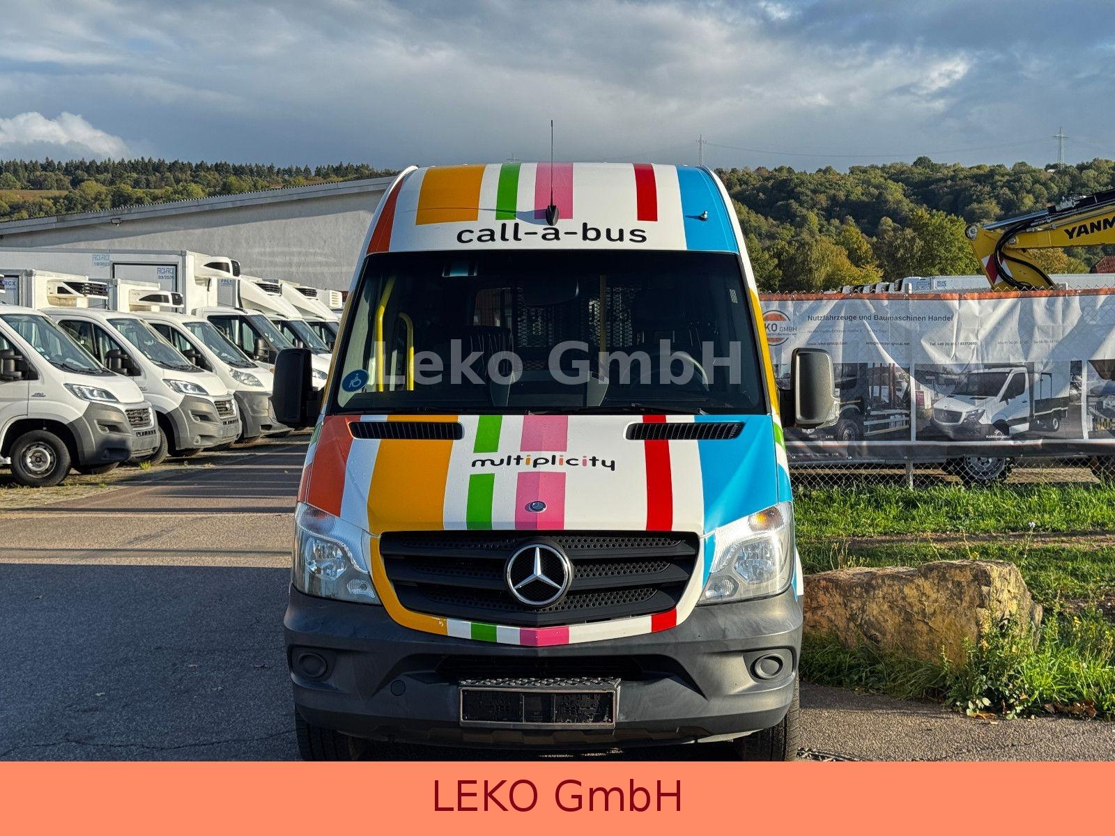 Mercedes-Benz Sprinter 317 Personenbus/Behindertentransport