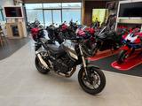 Honda CB750 Hornet mit Quickshifter *Service neu* - HONDA CB750