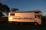 Phoenix 8300 BMX RSL - Phoenix Rsl