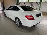 Mercedes-Benz C220 CDI BlueEfficiency AMG - Mercedes-Benz C 220: Cdi AMG