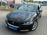 Jaguar XF 3.0 D Prestige*PANO*LEDER*GR.NAVI*BI.XEN*VOL* - Jaguar XF mit Diesel-Antrieb: 3.0
