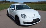 Volkswagen Beetle 1.2 TSI - - Volkswagen Beetle aus 2013