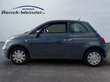Fiat 500 Cult DAB Klima Temp Berganfahrass. Speedlimi - gebrauchte Fiat Kleinwagen