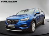 Opel Grandland X 1.2 Dynamic *Kamera*Sitz-&Lenkr.heiz - blaue Opel Grandland (X)