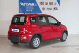 Fiat Panda Base 1.0 MildHybrid 69PS *Klima* - gebrauchte Fiat Panda aus dem Jahr 2024