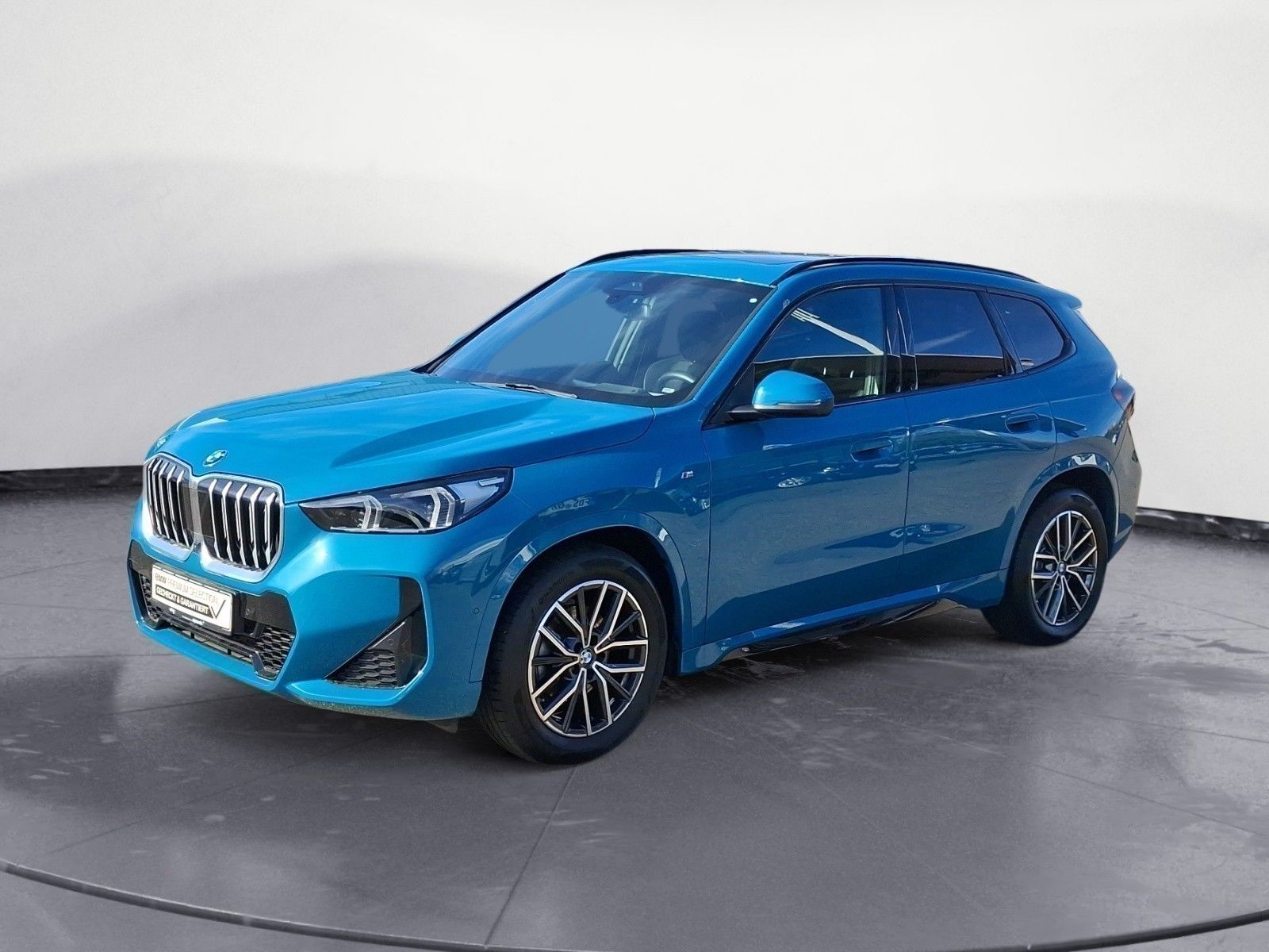 BMW X1 xDrive20d Steptronic M SPORT Head-Up Panorama foto 2