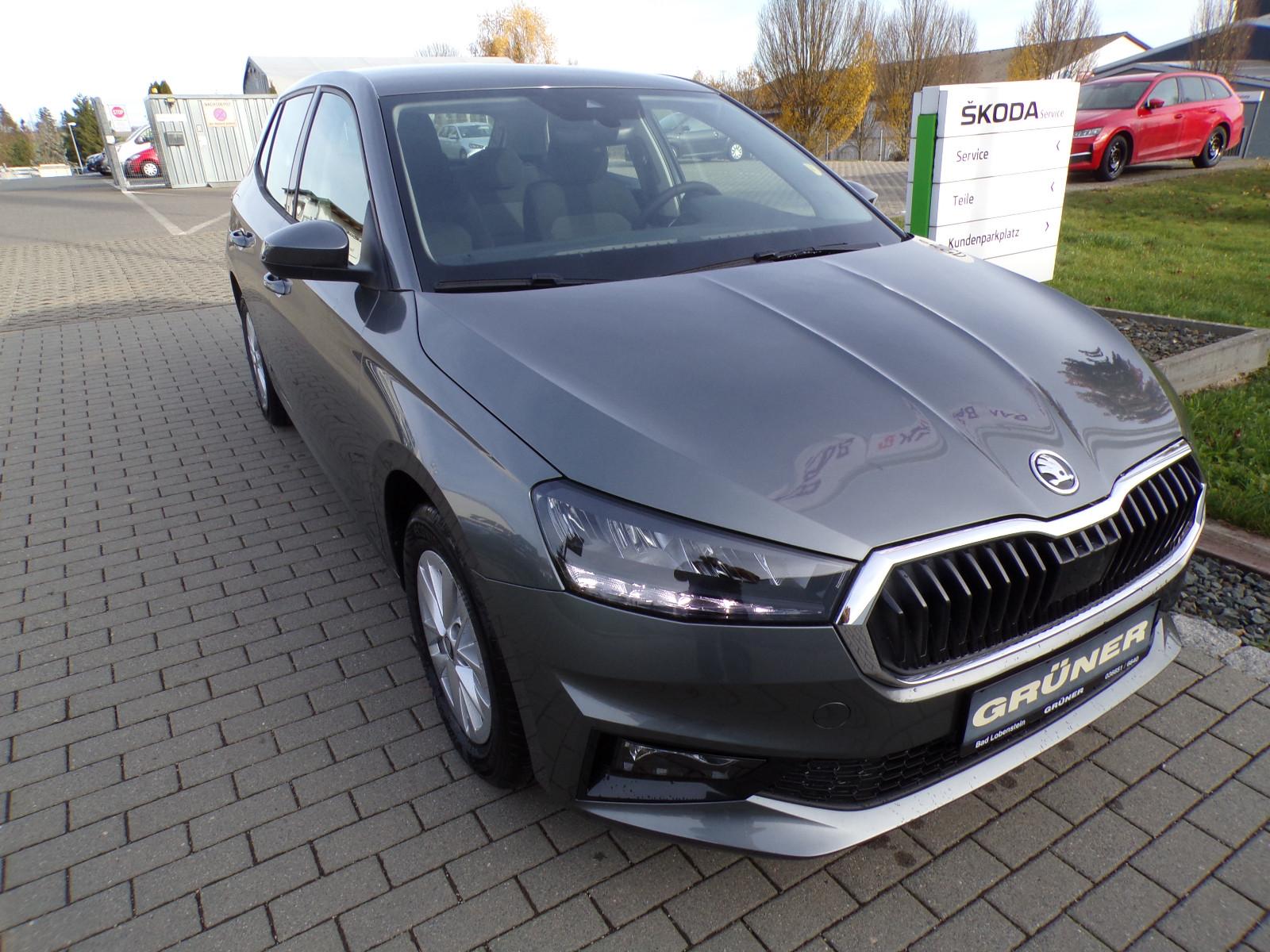 Skoda Fabia 130 Jahre Edition,Klima,SHZ,Kamera,5J Gar.