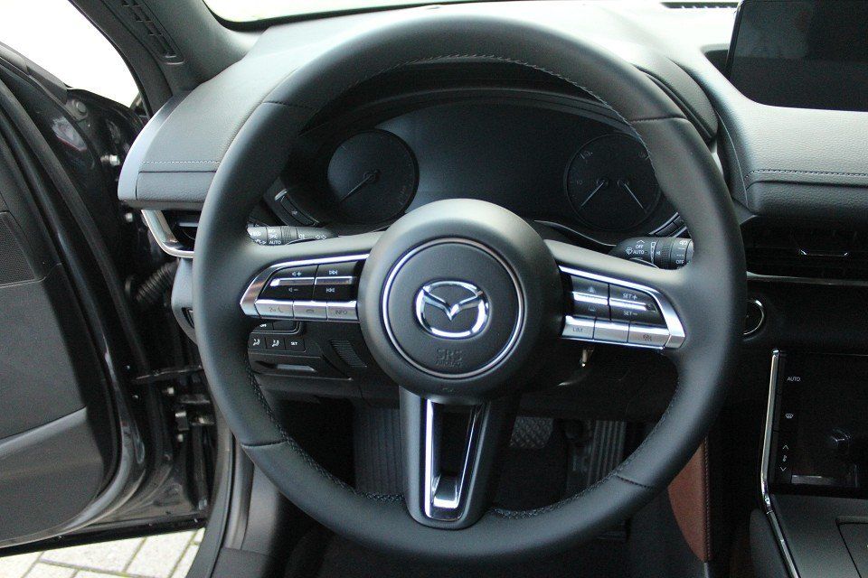 Fahrzeugabbildung Mazda MX-30 EV Advantage Industrial Vintage NAVI el. S