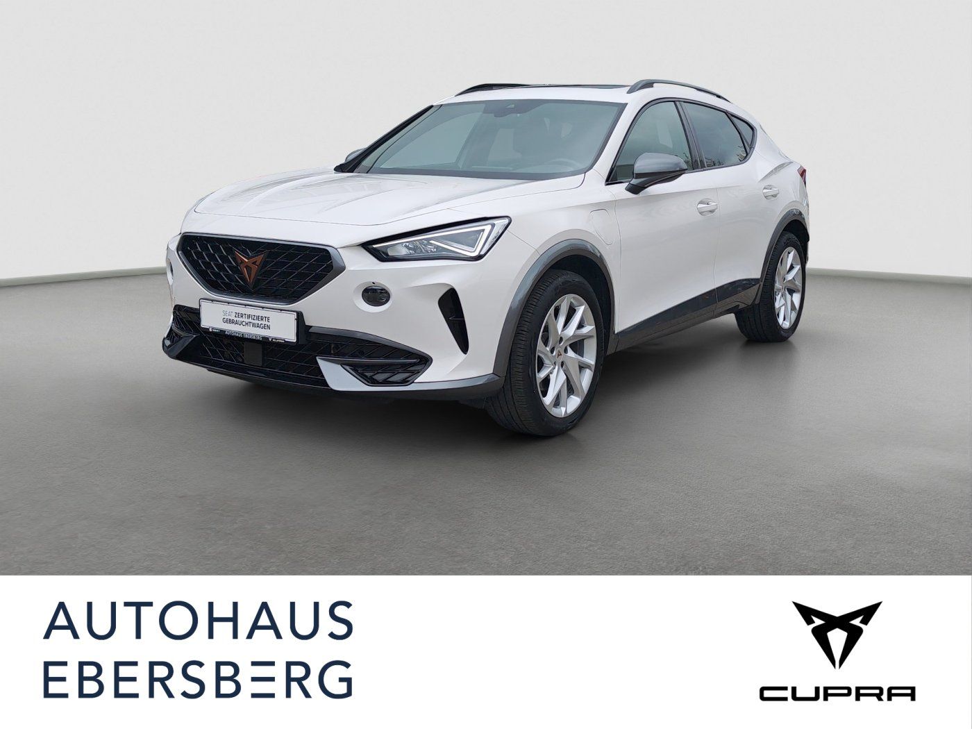 CUPRA Formentor 1.4 e-Hybrid LED Virtual Kamera Pano