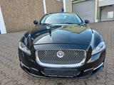 Jaguar XJ Premium Luxury - Jaguar XJ: Luxury