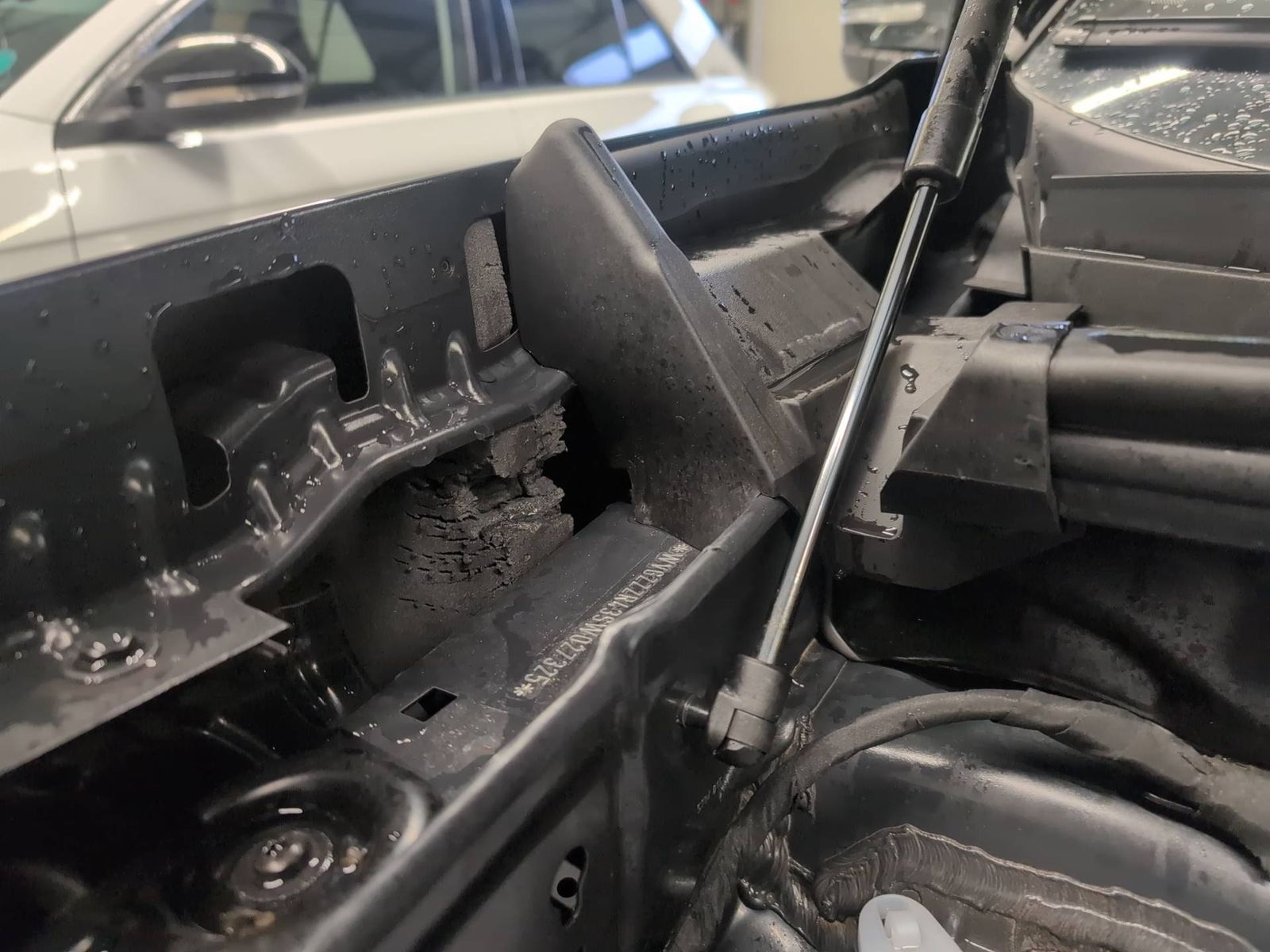 Volkswagen Tayron - Bild 18