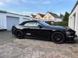 Ford Mustang 5.0  GT - Cabrio - Werksgarantie 11/27 - Ford Mustang in Leverkusen