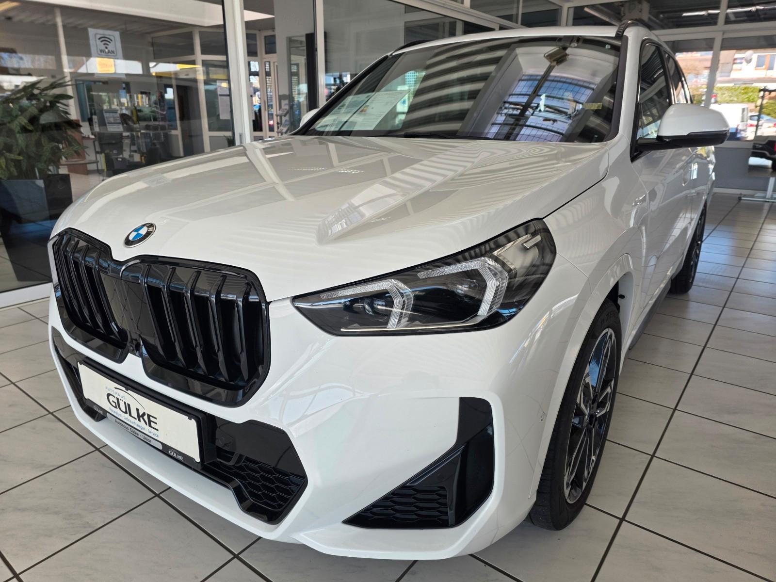 BMW X1 20 d xDrive M Sport AHK, Lenkheiz.
