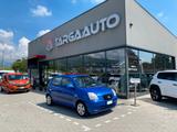 Kia Picanto 1.0 LX Urban - gebrauchte Kia Picanto aus dem Jahr 2008