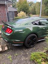 Ford GT Fastback | Mach 1 Optik! - Ford GT Gebrauchtwagen