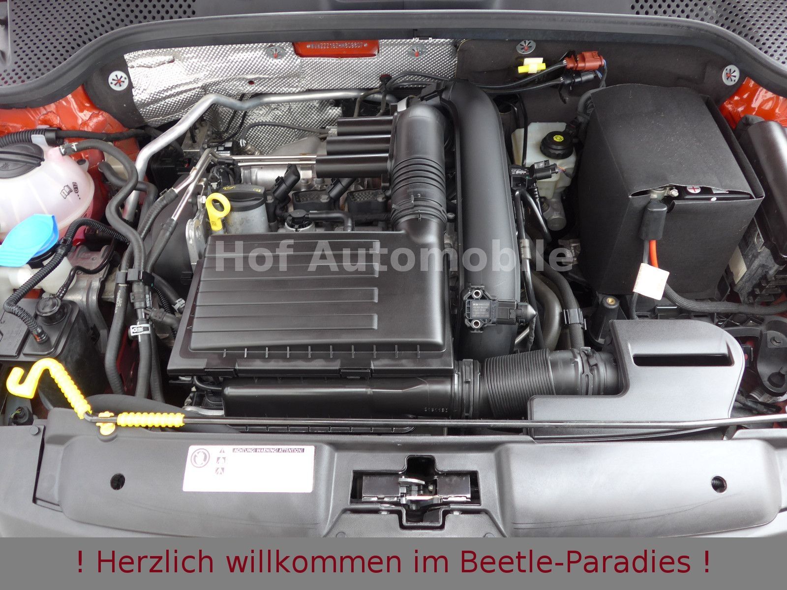 Volkswagen Beetle 1.4TSI R Line Individual/Exclusive 1.Hand foto 25