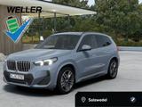 BMW X1 xDr30e M Sport Pano,DAPro,H/K,HUD,360°,AdLED