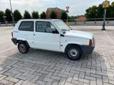 Fiat Panda 1100 cat Business Van solo 63.000 km - gebrauchte Fiat Panda aus dem Jahr 2002