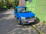 Fiat Panda 1.2 8V Dynamic - Fiat Panda Gebrauchtwagen in Münster