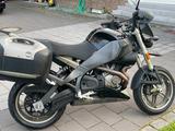 Buell XB12X - Offers matching your search criteria
