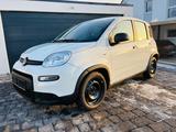 Fiat Panda 1.0 GSE -KOMFORT/DAB/BLUETOOTH/KLIMA/PDC/ - gebrauchte Fiat Panda aus dem Jahr 2024