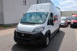 Fiat Ducato Maxi Grossr.-Kasten 35 180 L5H3 / 7 Sitze - Fiat Ducato in Hannover