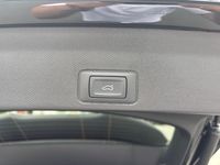 Cupra Terramar - Vorschau Bild 10