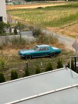 Ford Mustang - Ford Mustang aus 1967: Coupé
