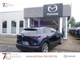 Mazda CX-30 Exclusive-Line 140 Matrix-LED|BOSE|Alexa - Mazda CX-30 Tageszulassungen