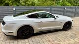 Ford Mustang 5.0 Ti-VCT V8 GT - weiße Ford Mustang