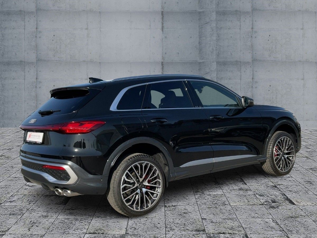 Audi SQ5 - Bild 5