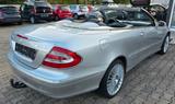 Mercedes-Benz CLK 320 AVANTGARDE Avantgarde AMG Felgen/AHK  - Mercedes-Benz CLK 320: AMG
