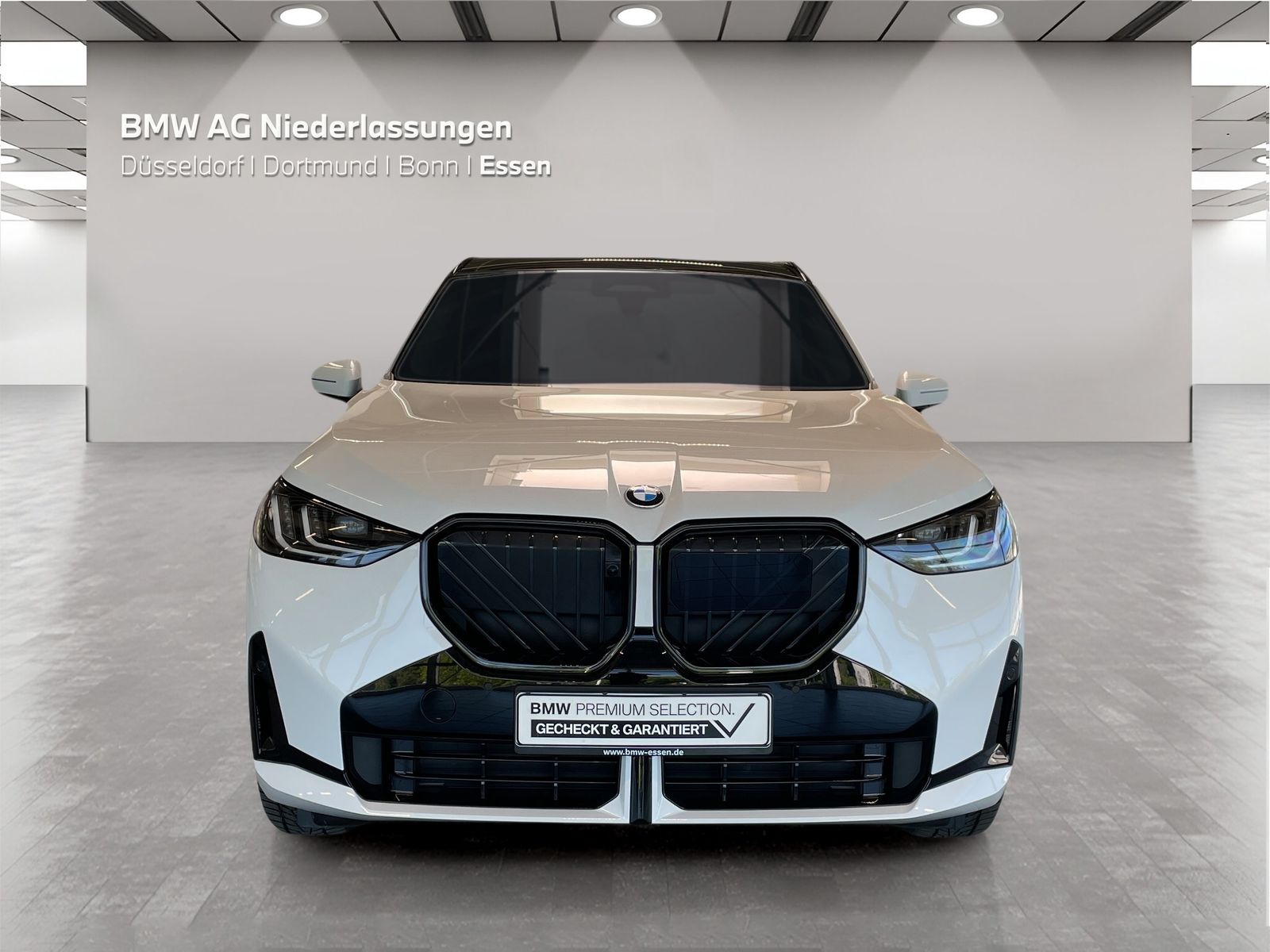 BMW X3 - Bild 8