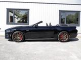 Ford Mustang Cabrio GT 5.0 V8 Aut.+Magne-Ride+B&O+ACC - Ford Mustang mit Benzin-Antrieb: Leder, Cabrio