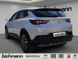 Opel Grandland Dynamic Navi Ergositze LED 19'' el.Hec - Opel Grandland (X) aus 2017