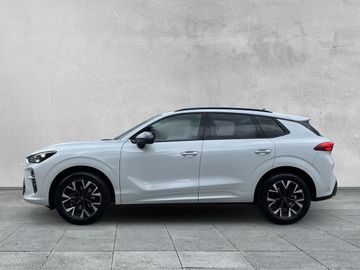 Cupra Terramar - 2