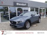 Mazda CX-30 Selection 150 Design|Activ|Bose|Navi - Mazda CX-30 in Essen