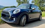 MINI  Cooper Seven Chili PanoramaDa Mfl Teilleder Nav - MINI MINI: Se