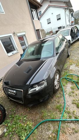 Audi A3 1.6 TDI (DPF) 77kW Attraction Attraction