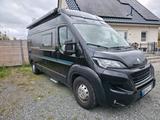 Bravia 599 Swan Aufstelldach - Bravia Kastenwagen