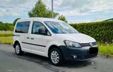 Volkswagen VW Caddy 1.6 tdi Tüv neu Klima Sthz.Lkw.Ah... - Volkswagen Caddy: Lkw