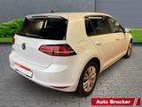 Volkswagen Golf VII ELEKTRO-Golf LED+Navi+2-Zonen-Klimaauto - Volkswagen Golf mit Elektro-Antrieb