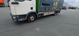 MAN TGL 12.250 Plane u. Spriegel mit LBW - MAN Tgl 12 250